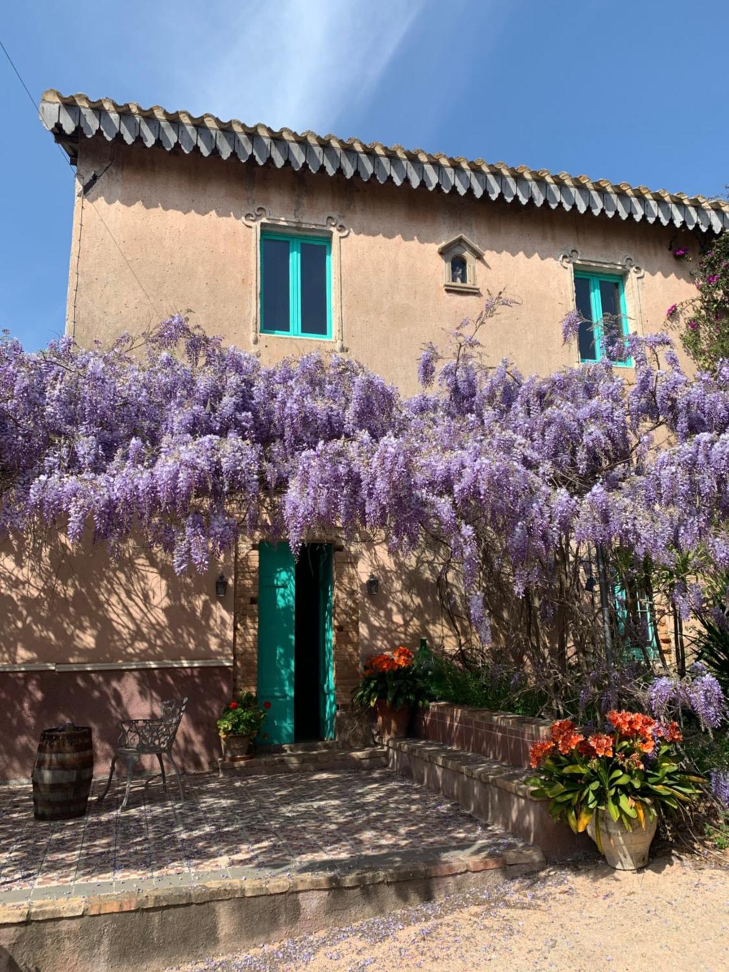 Corte Boero Bed&Breakfast 卡波特拉 外观 照片