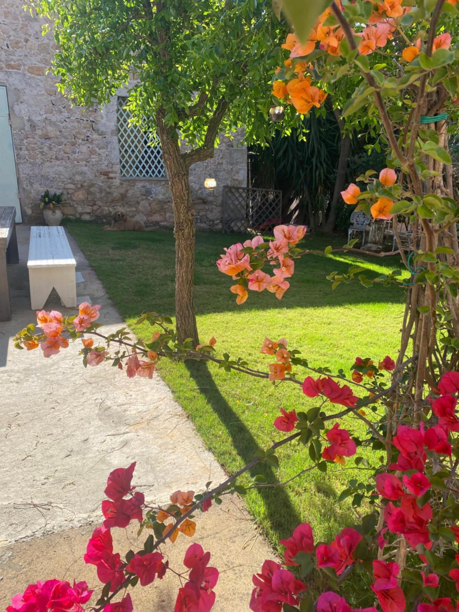 Corte Boero Bed&Breakfast 卡波特拉 外观 照片
