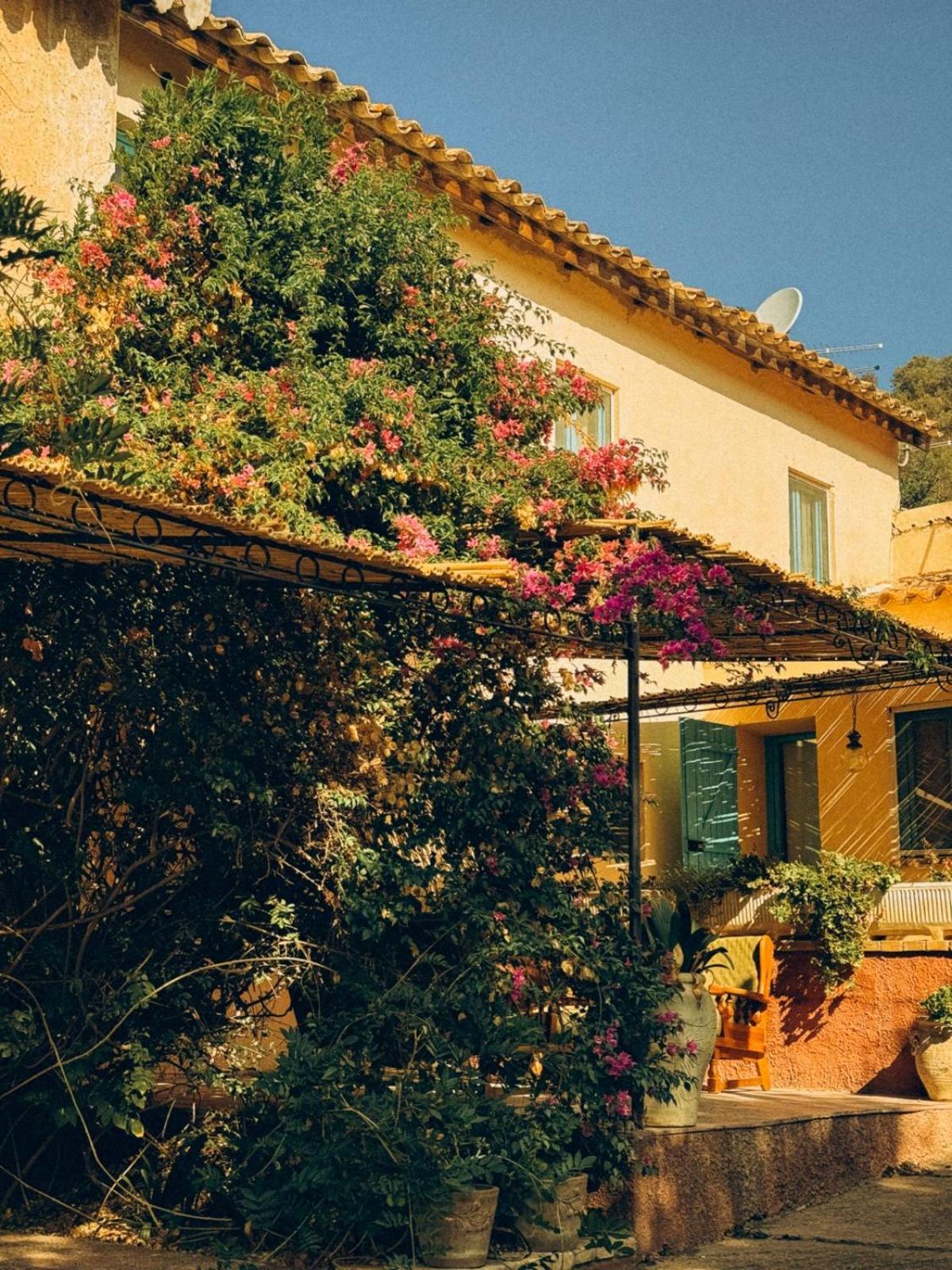 Corte Boero Bed&Breakfast 卡波特拉 外观 照片